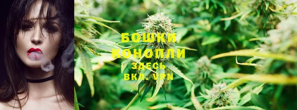 ПСИЛОЦИБИНОВЫЕ ГРИБЫ Наволоки