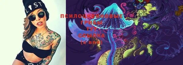 ПСИЛОЦИБИНОВЫЕ ГРИБЫ Наволоки