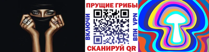 Купить  Зеленодольск  Псилоцибиновые грибы Psilocybe 